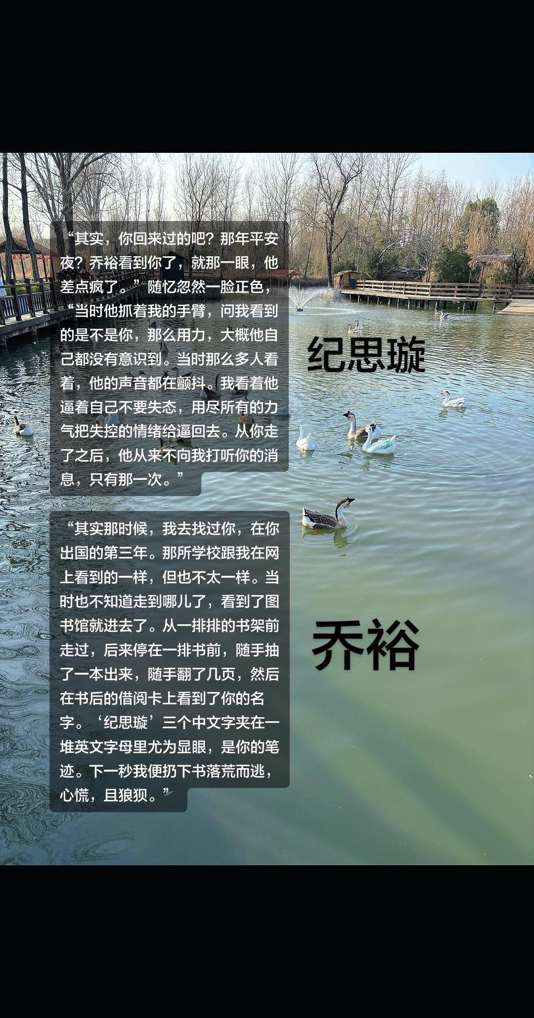 “你走后的第三年，萧子渊和随忆结婚，我以为你会回来，可直到婚礼结束，你...