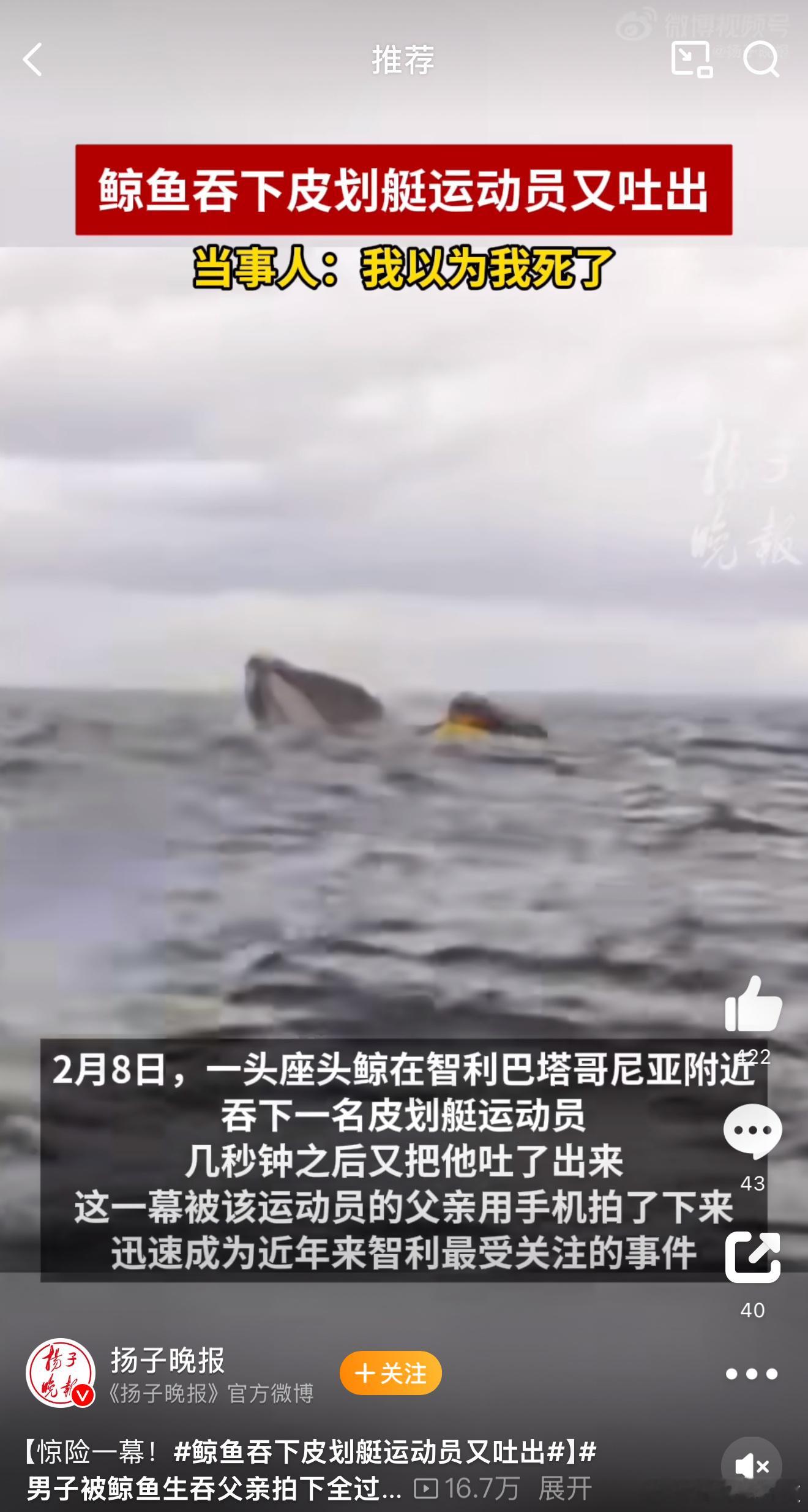 鲸鱼一口吞下皮划艇运动员又吐出  谢大鲸鱼不吃之恩[笑cry]吓死了吓死了[苦涩