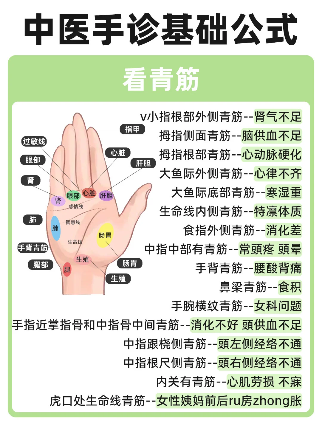 手部辨证易学版｜看手相，辨健康 ！对症解读