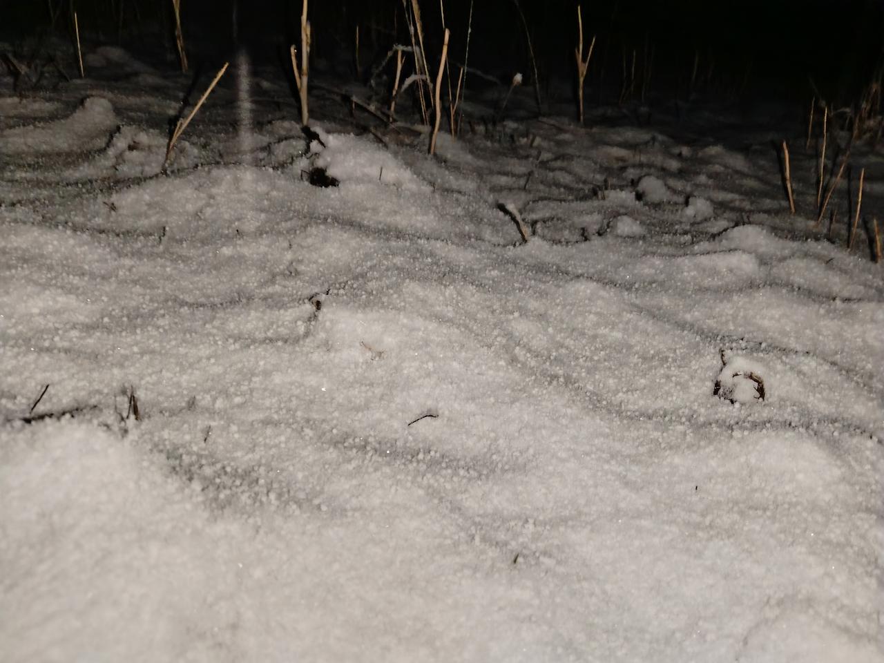 因为很多男人都爱面子，而他的妈妈就是他的面子所在。这并不意味着他有多深爱自己的母