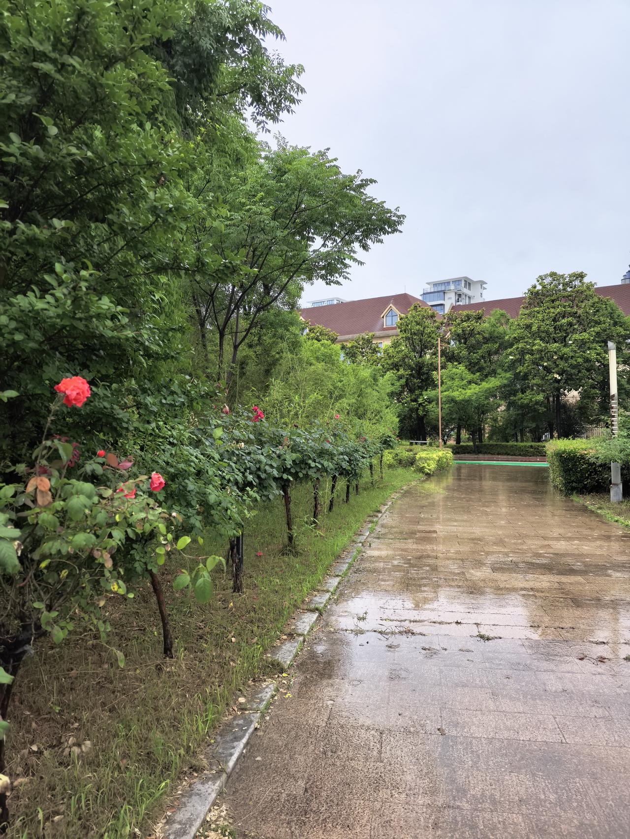 立志减肥的，多是吃的太胖；坚持锻炼的，多是身患疾病；立志践行的，往往是拖延最厉害