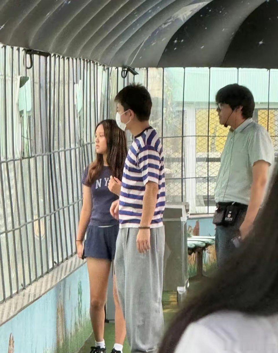那个被群嘲“笨爸爸”的贾乃亮，如今牵着甜馨逛虎园：最好的家教，从来不是立人设贾乃