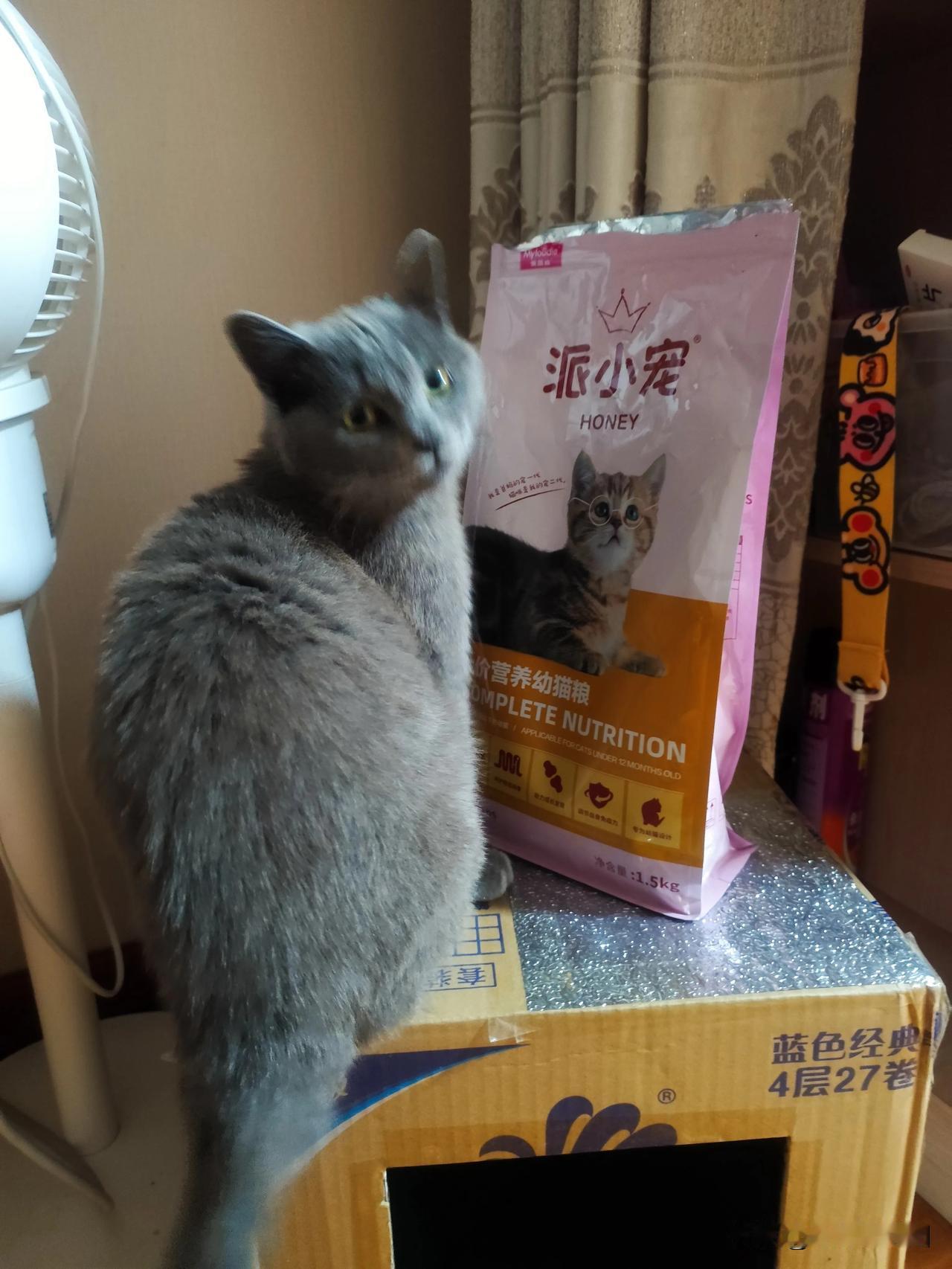 一天到晚就知道干饭，现在居然连床都敢上了，看我揍不揍你就得了……