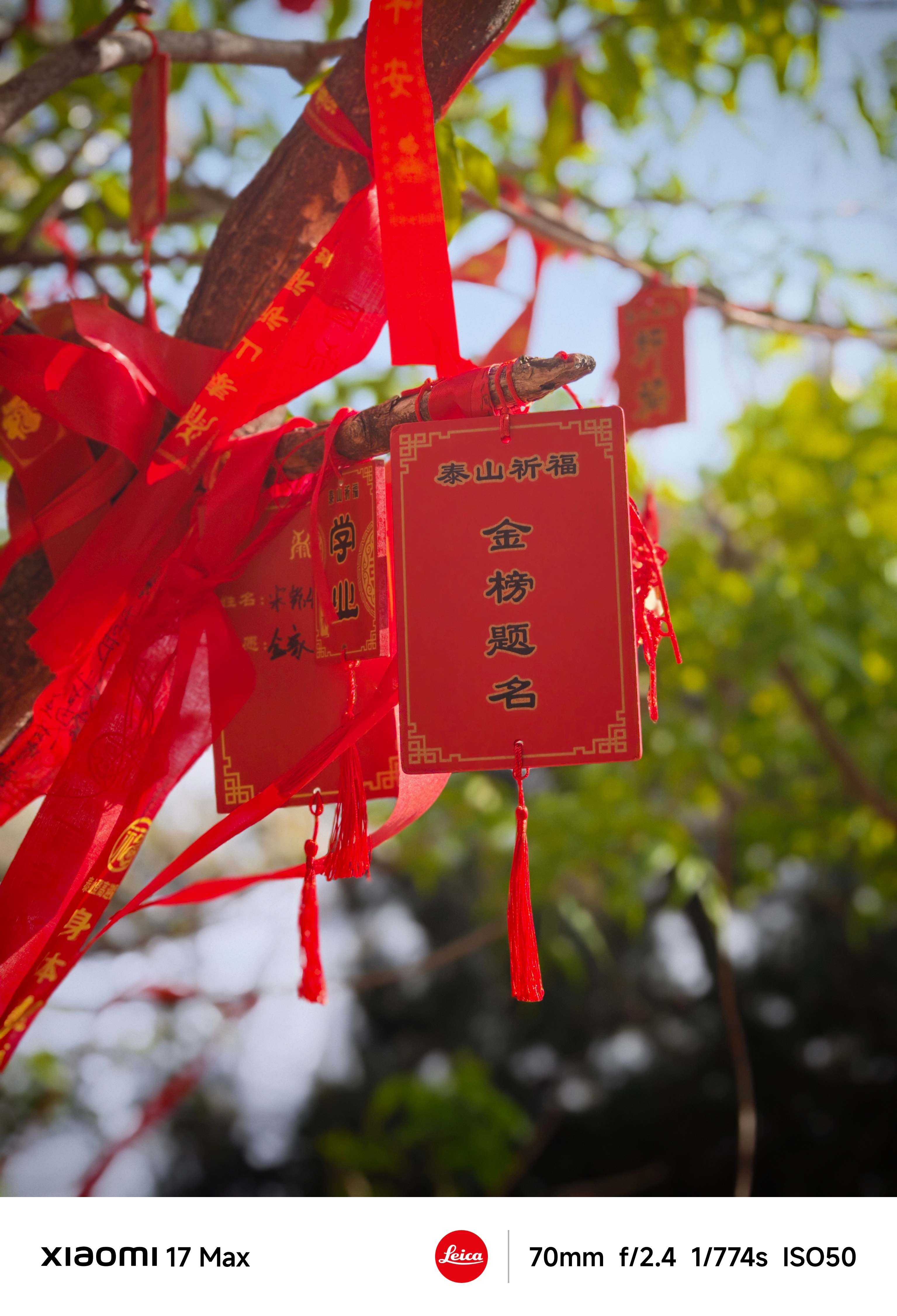 何运晨登顶泰山给26届高考生应援泰山之巅，云海翻涌。一步一步往上走，身后是刚刚升