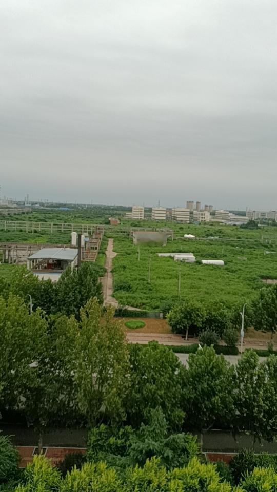 分享一下你随手拍下的照片