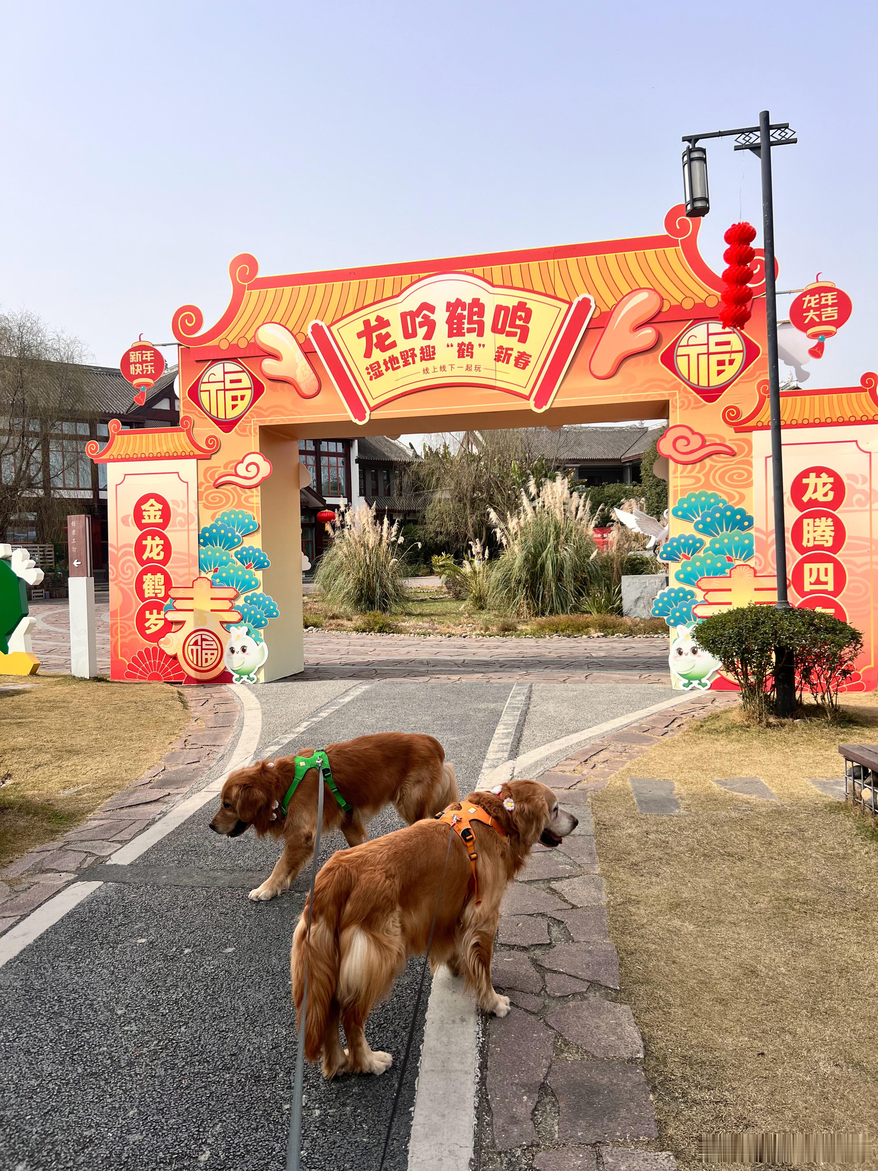 逛个白鹤滩公园，吃个柴火鸡[哇] ​​​