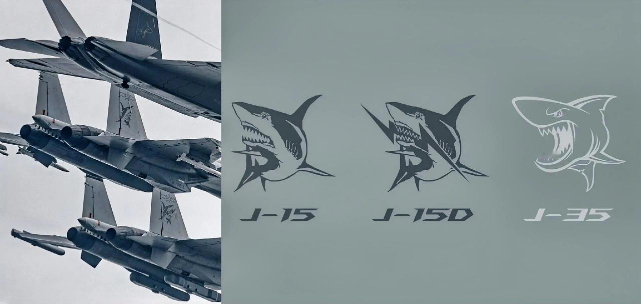我们的航母海军舰载机垂尾上的鲨鱼logo，表情愈发凶狠凌厉了。从歼-15到歼-3