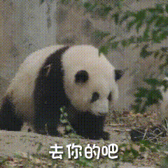 聊天必备表情包第470弹黑白小圆子（拿图吱声） ​​​