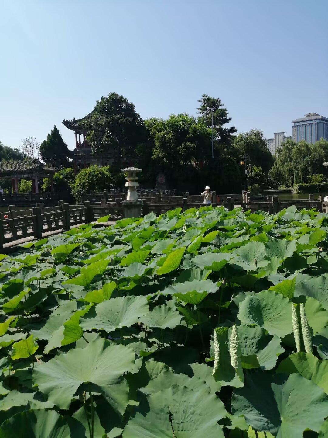 前三十年：
吃苦受累不怕难，踏实肯干日子甜，家国安稳人心暖，朴素平凡也心安。