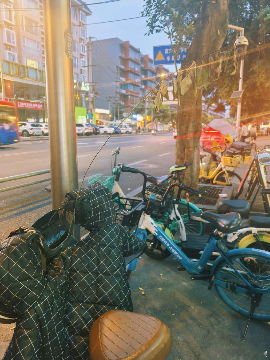 逗比小孩 从图书馆出来，鱼姐递给我一根树枝，插在我电瓶车上，插在自己书包上，非要