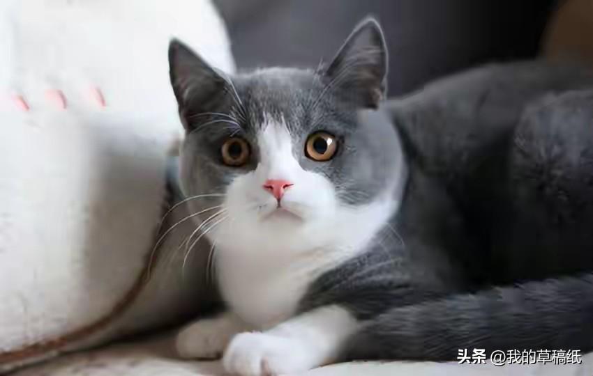 听说了吗？西宁一女子出租房屋差点中招，幸亏她多留了个心眼！
 
出租房子还能踩电