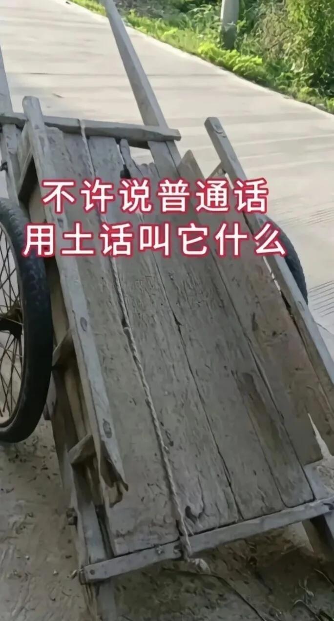 不说普通话
这种车子你们那叫什么？
我们这叫地排子