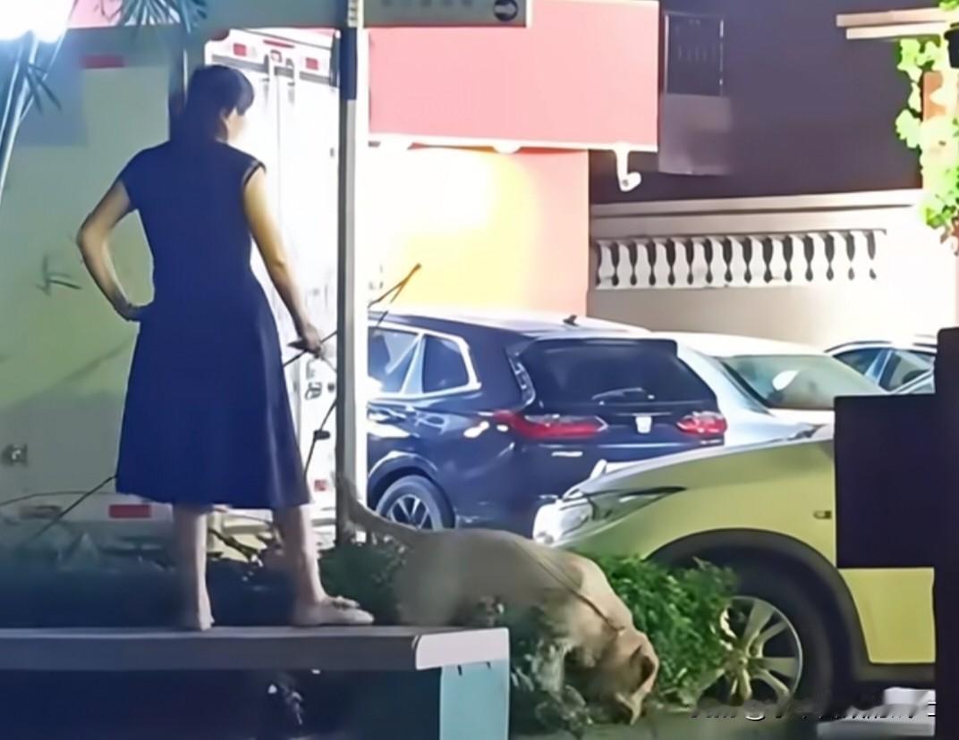 女子遛狗踩椅被罚，次日竟做出更荒唐的举动。

近日，一名女子在社区遛狗，她不是坐