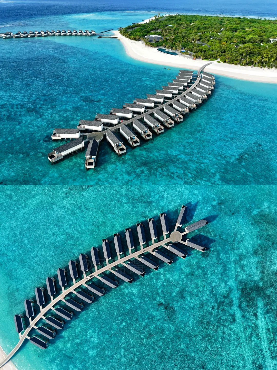 见过马尔代夫的海🩵心中再也没有平替‼️