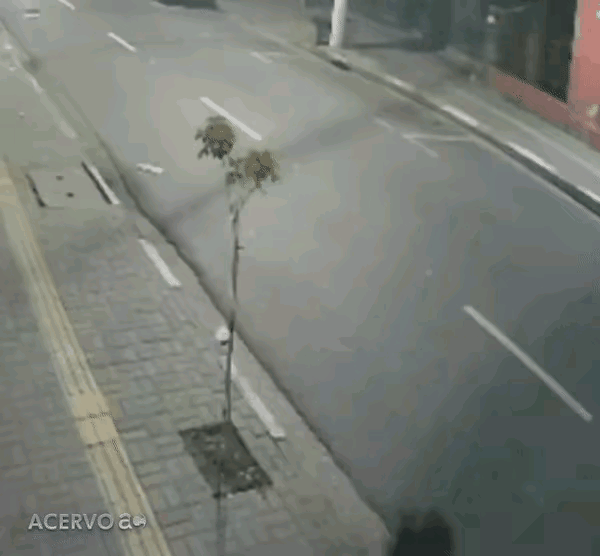 刷到这个视频，这种人除了坏还能怎样形容？若没有监控，她那丑恶的灵魂还暴露不了呢。