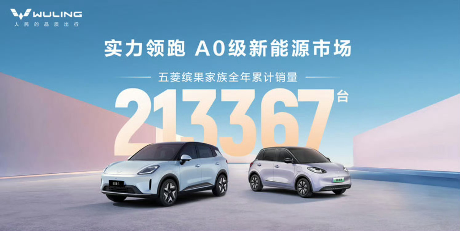 缤果家族2025全年热销213367辆，累计销量超过60万，选A0小车还真是绕不