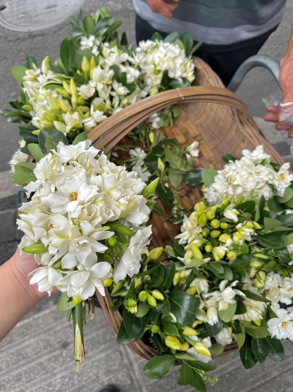 夏至一到，正式开启夏日主线任务，想躲开酷暑，直接往四川走就对了。九寨沟澄澈海子藏