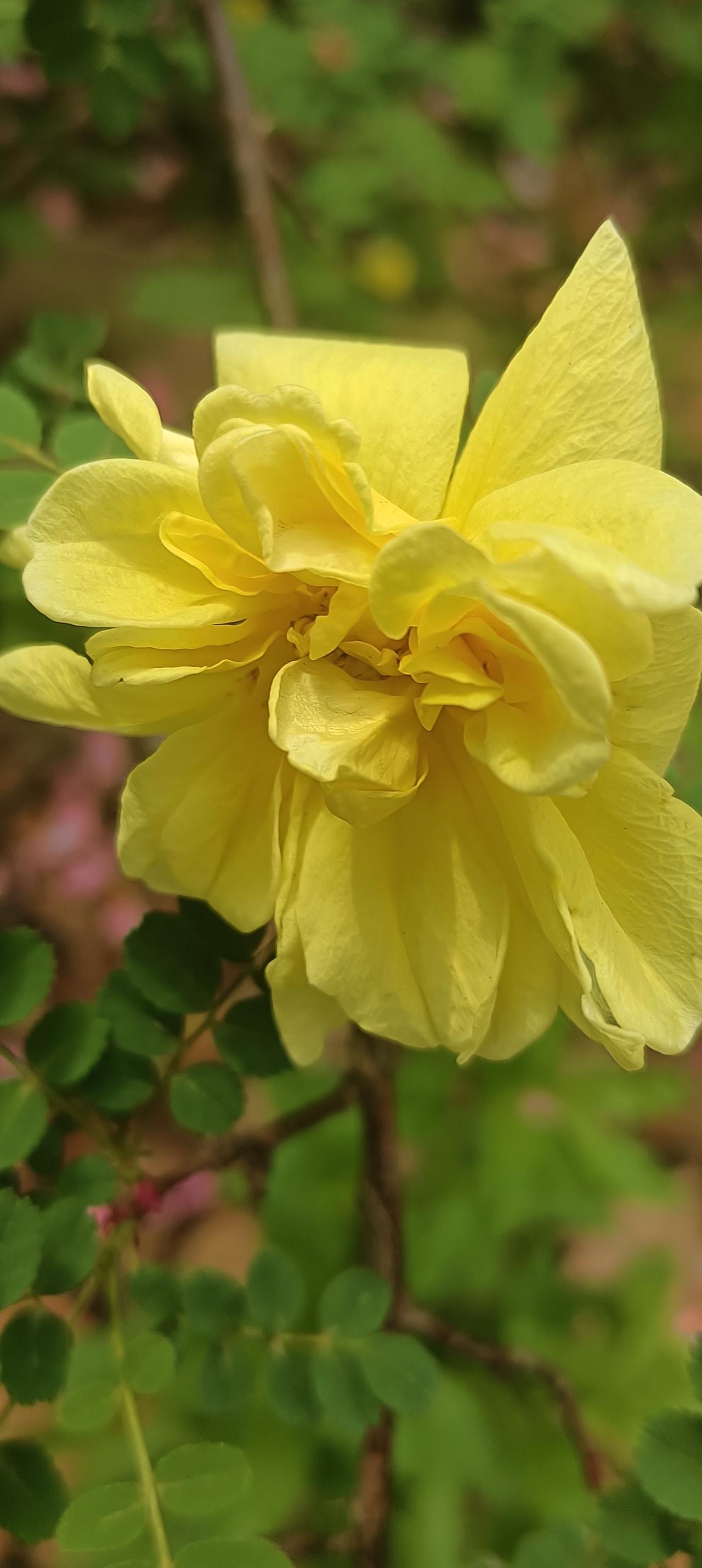 记录我的2026小县城月薪3000打工妇女，又努力又颓废的一天。