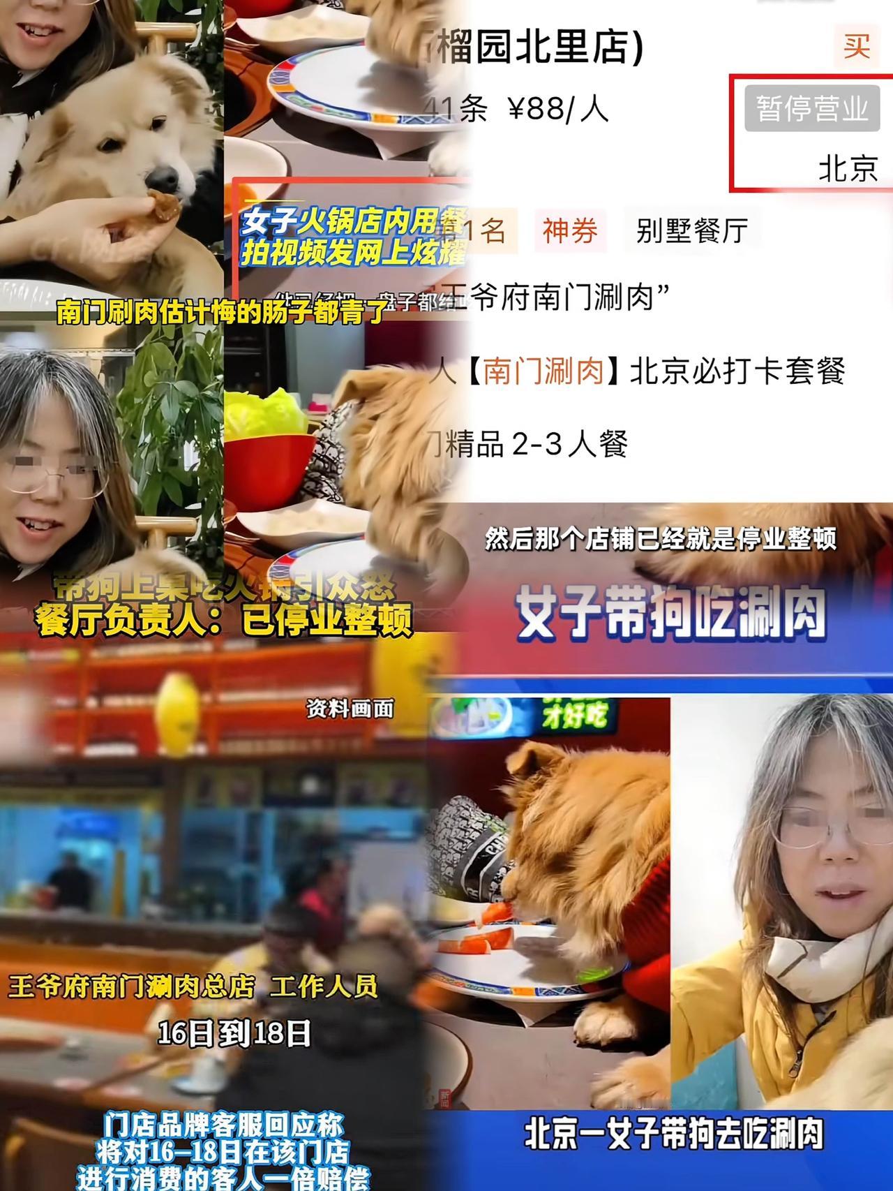 “与狗同食”的狗姐彻底翻车了！
不仅自己被骂上热搜，
还害得涉事饭店停业整顿，老