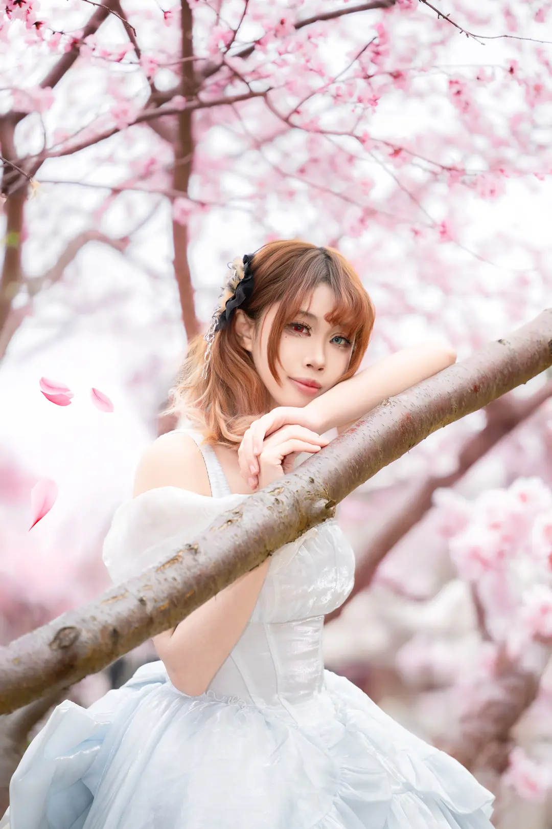 春来了 你在哪。