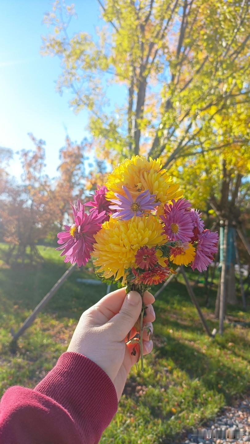 看了关于天津赖老师的事，我想说有些老师确实挺端着的，我孩子老师也是如此，只是她对