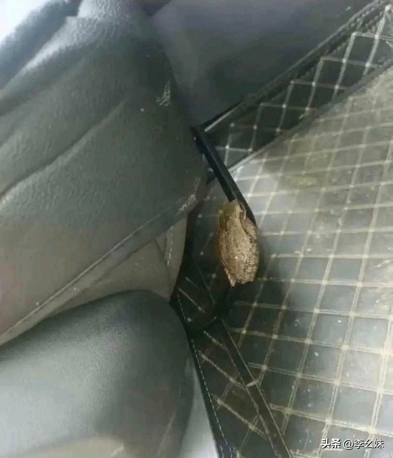 车内偶然撞见的，朋友们有没有合适的处理方式