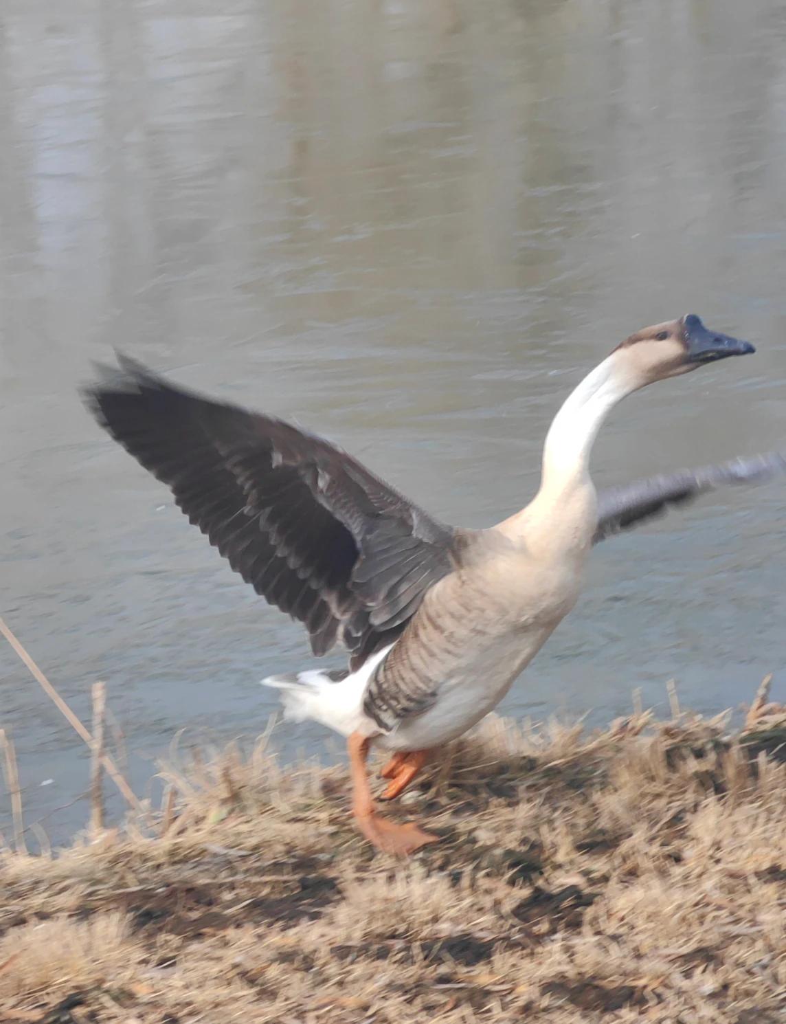 理念实践记录让每个员工都成为文化的“代言人”[赞]
根本上说，企业文化是由员工塑
