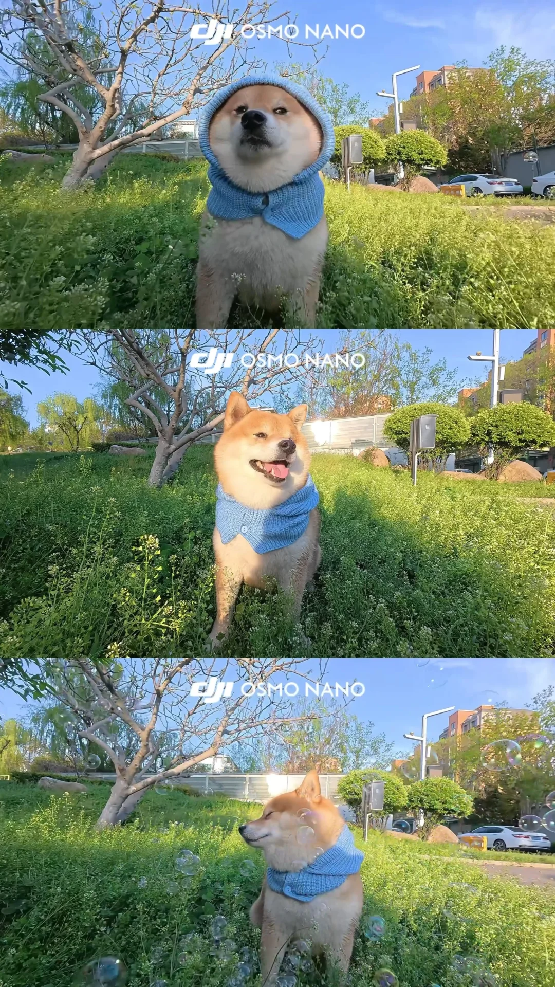 买大疆nano的理由又多了一个