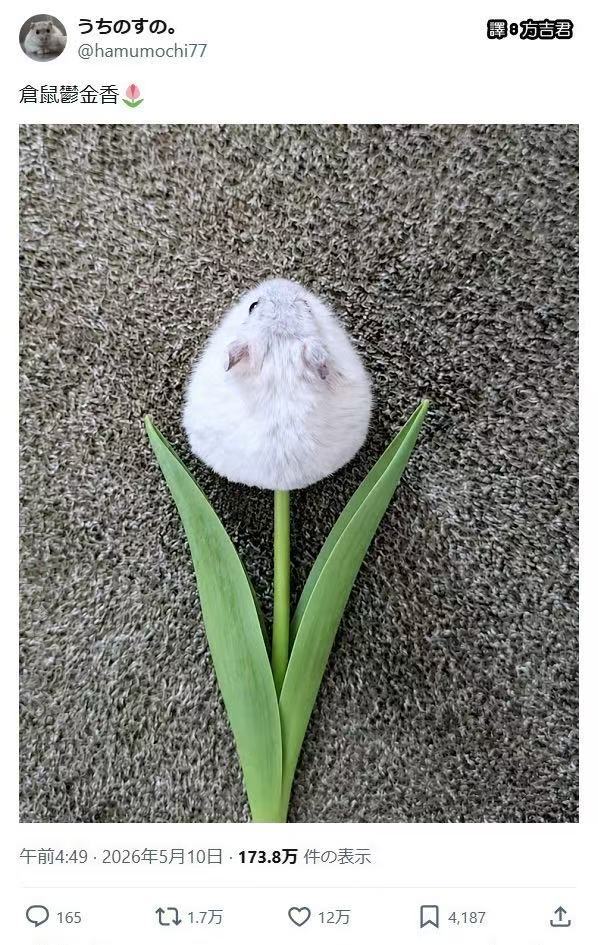 哇 