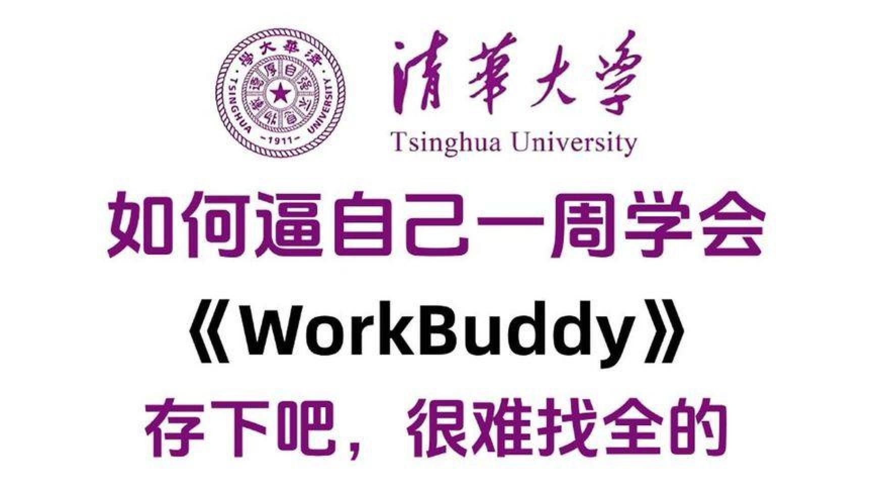 清华大佬WorkBuddy入门，168小时精讲教程