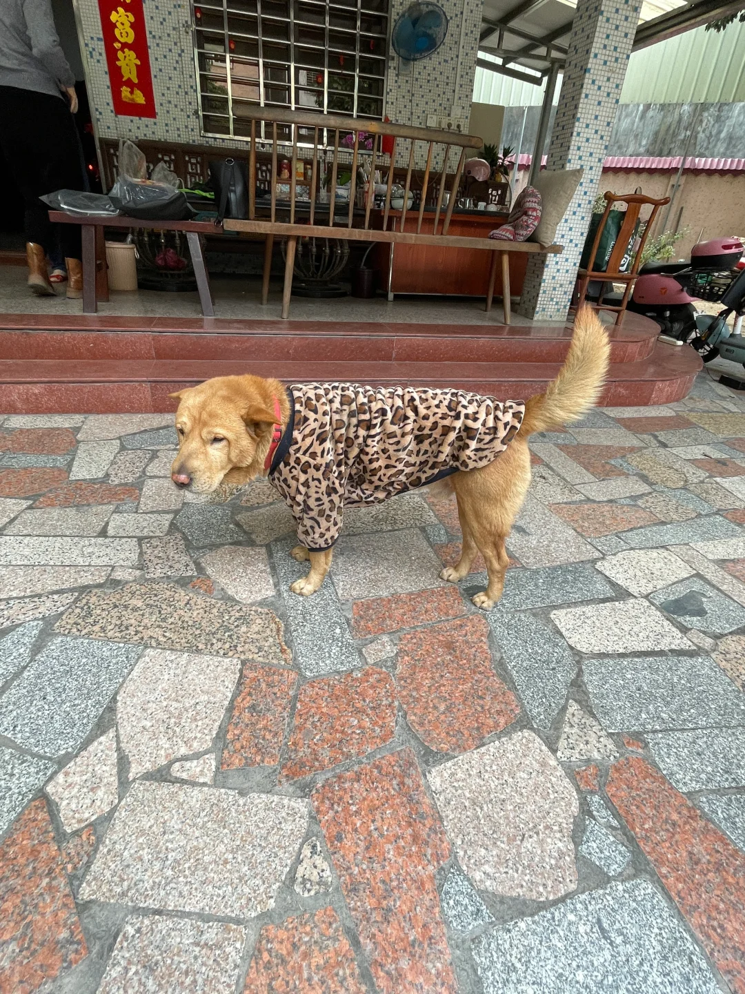 亲们 天冷请加衣