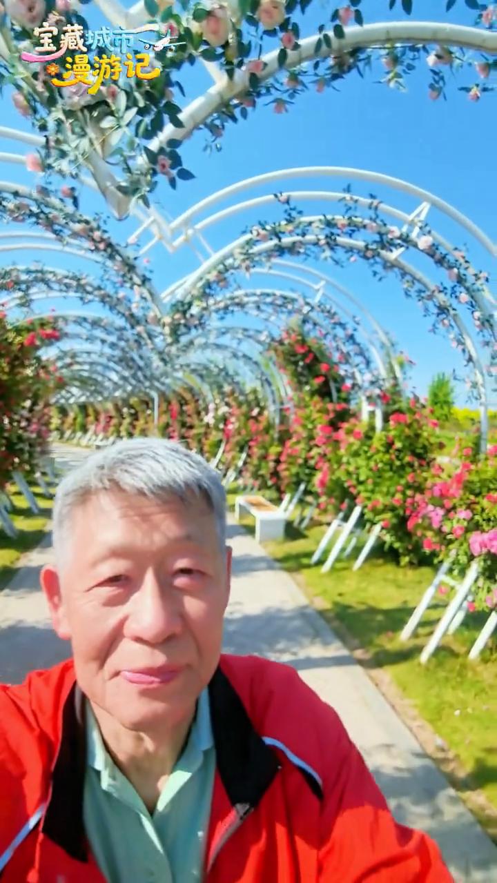 宝藏城市漫游记：蔷薇花爱心走廊。
洛阳伊宾中央公园打卡佳景之一。伊宾中央公园爱心
