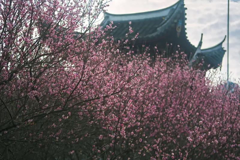 上联：寒月临窗梅弄影；
下联：清风过溪竹摇声。