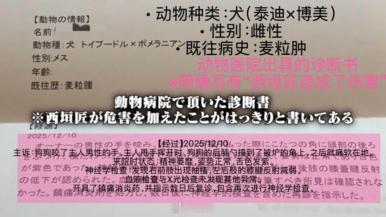 一起来吃🍉DEATHDOL NOTE【特大曝光】人气演员：西垣 匠 备注/指控
