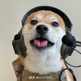 根来热逛军事