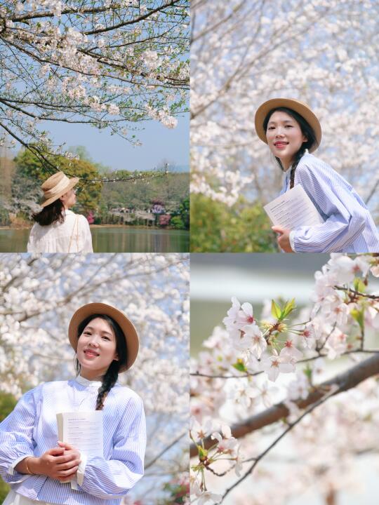 3.26林科院樱花🌸实况，过几天能来一万人吧
