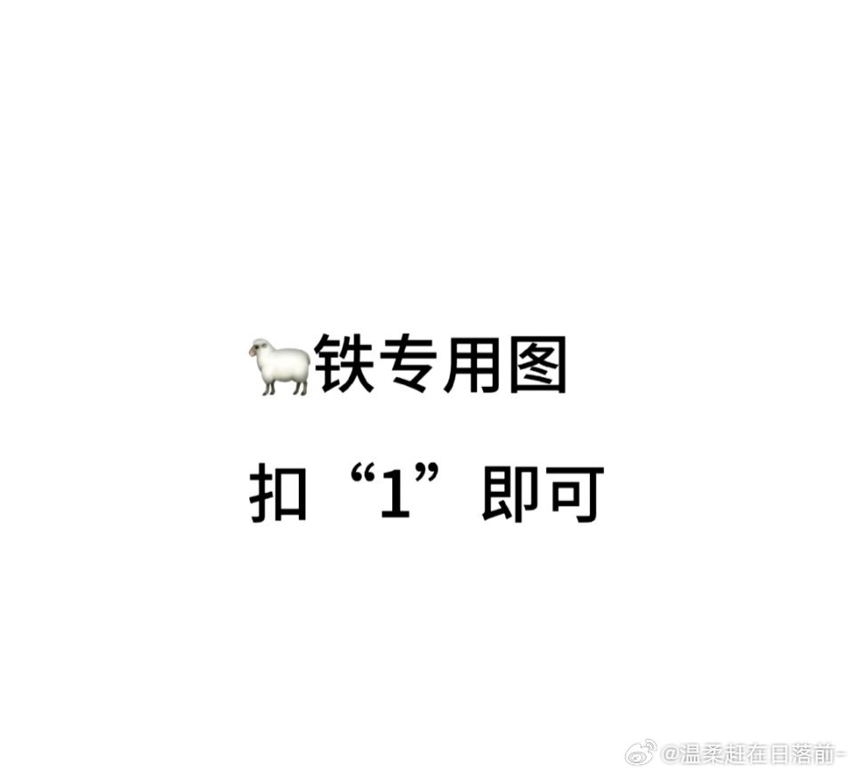 早上好 
