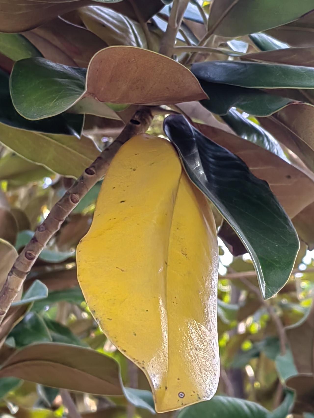 人与人多是“有事”相交往，喝闲酒、闲聊天、打发日子属于无聊，“人走”脱离环境，即