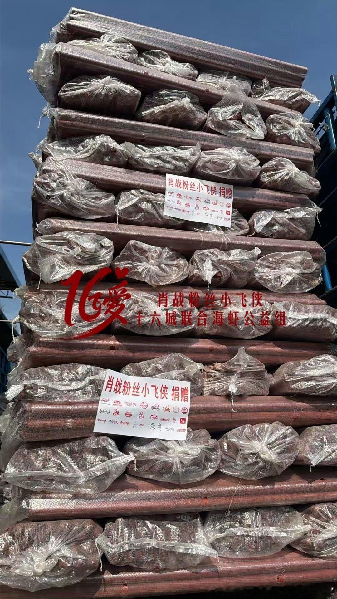 肖战公益一路有你  善意跨越山海，小飞侠追随向善步履，驰援广西洪灾，以实际行动践