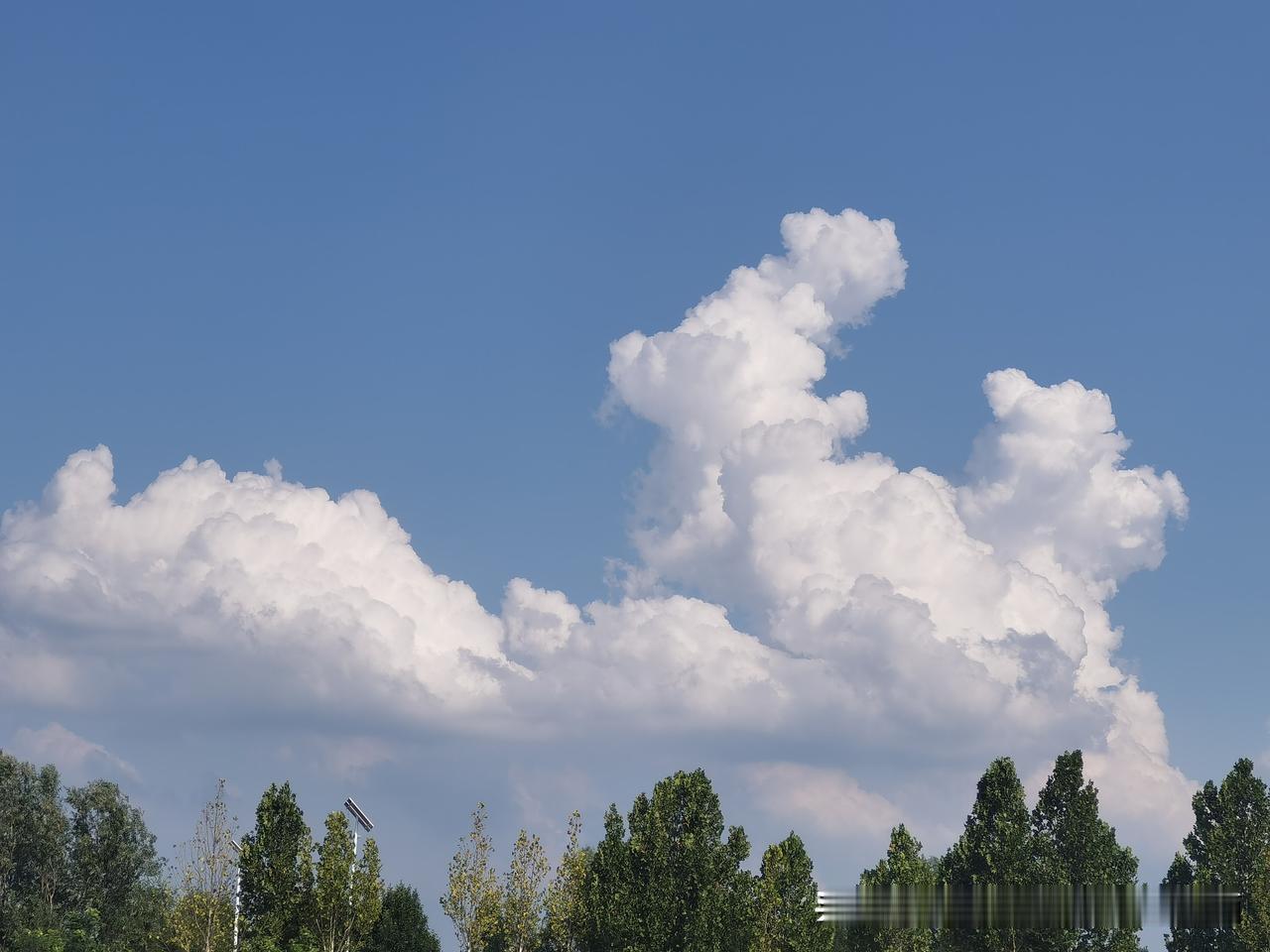 这是哪里的棉花飘天上去了吗？夏日生活打卡季分享一下你随手拍下的照片 天空