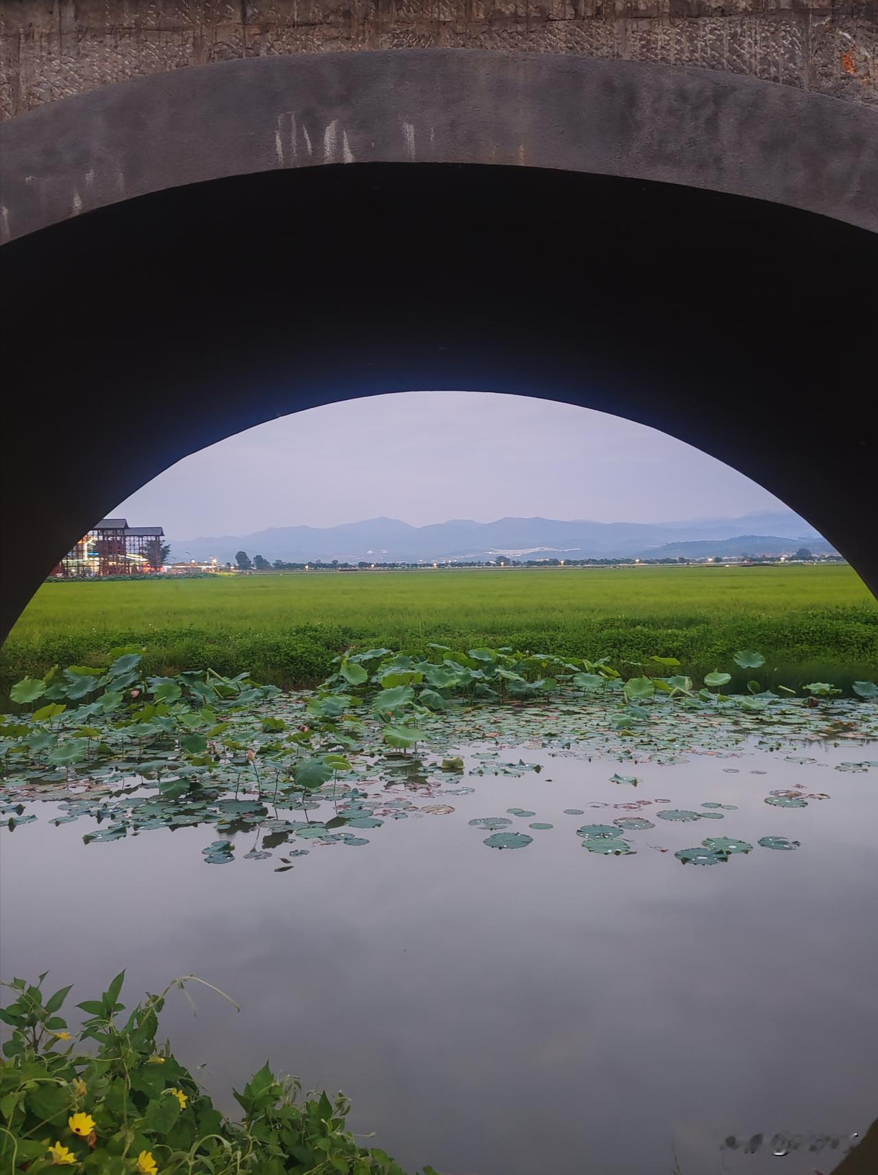 十七孔桥-长虹卧波，古桥映稻田
       离开建水古城向西而行，城内的热闹喧