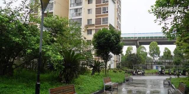 【小区531户仅25户交物业费业主发声】物业回应小区531户仅25户交物业费 7