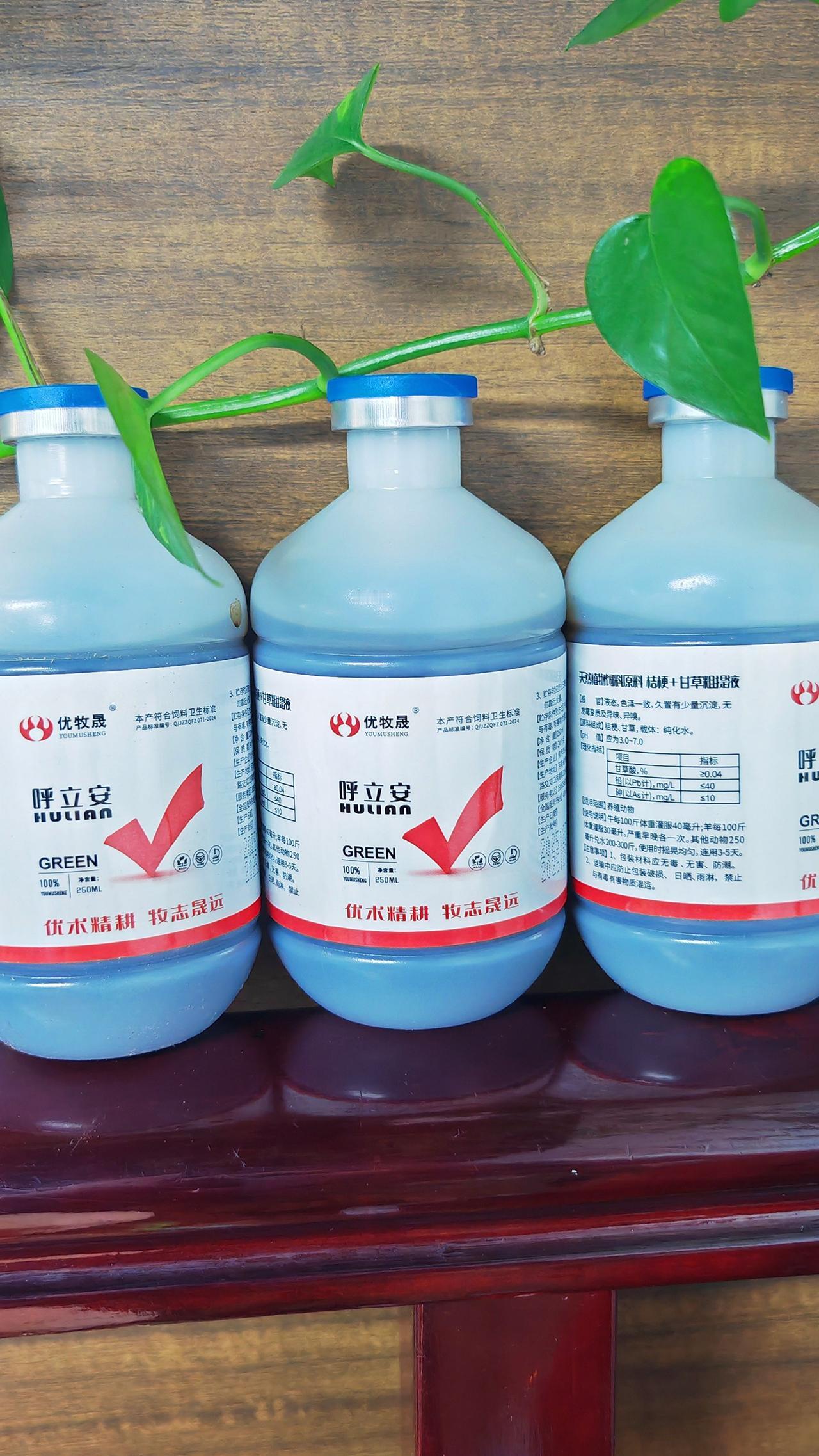 养羊人 牛羊养殖 农村养羊