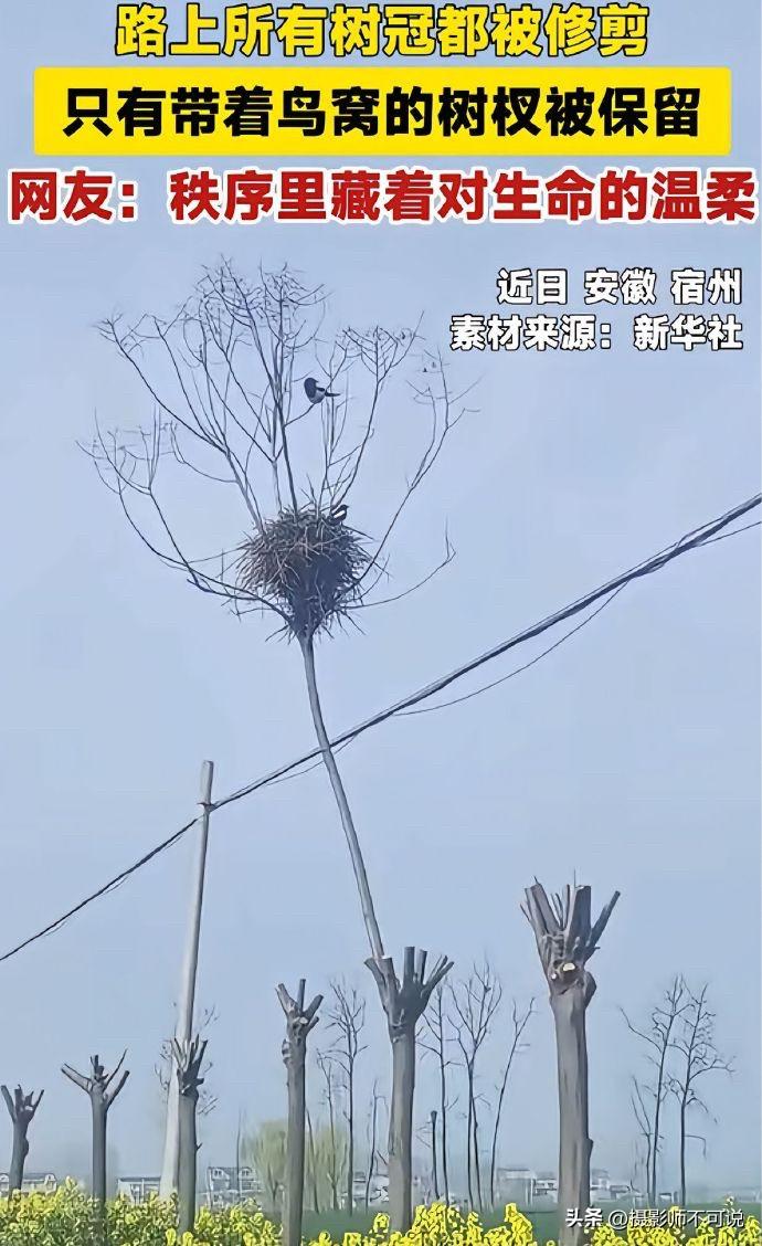 这张图片要是出现在20年前的欧美日等国家，国内互联网会怎么配文案！这张照片的确很