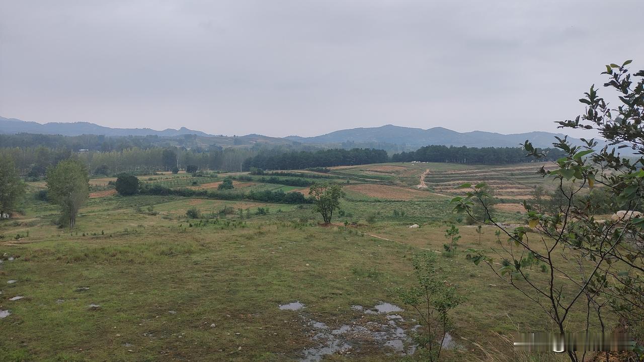 隔壁老王蹲在村口，看着旅游大巴一辆辆驶过，他摸了摸兜里刚刚卖粮换来的三百块钱，喃