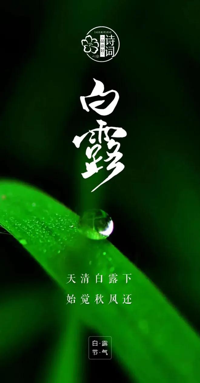 白露晶莹降夜凉，清风拂面透衣裳。
晨间草木凝珠露，月下荷塘泛银光。
雁阵南飞寻暖