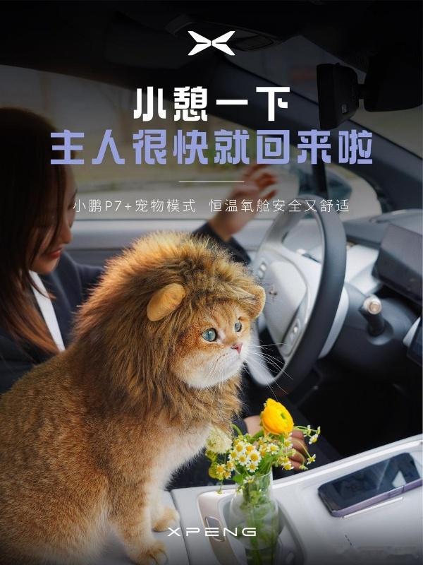 小鹏P7+第9次OTA宠物模式正式上线小鹏P7+让毛孩子享受VIP待遇小鹏G7的
