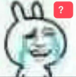 所以预告的鸥呢，飞走了？？？ 