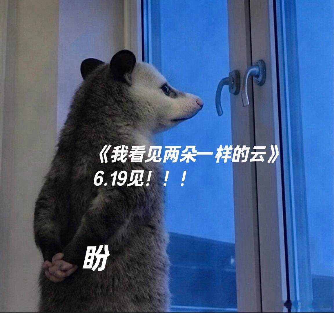 在王源文淇新片里被确诊为NPC我下定决心的时候世界就这样对我 论坛发帖、涂鸦地图