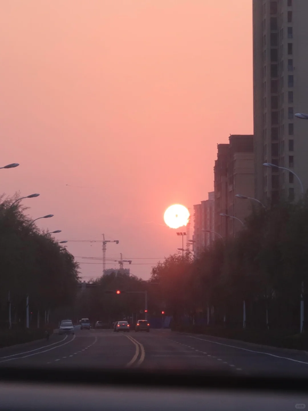 “曲折的夕阳 负责隔挡”🌇